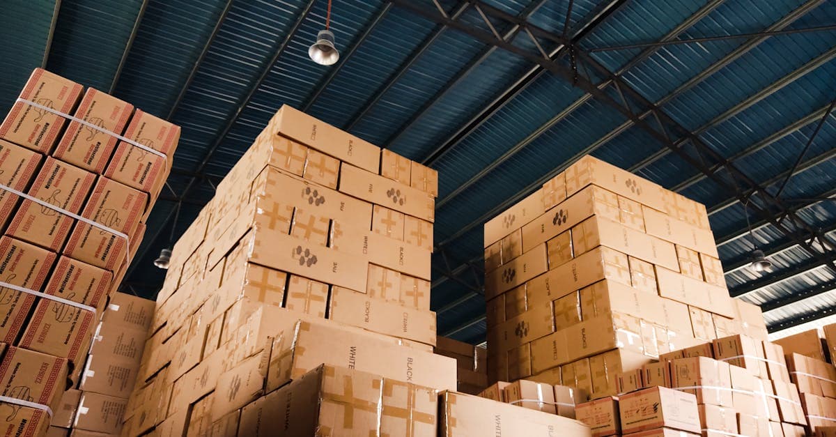 Warehouse shelving with neatly organized inventory boxes showing buffer stock levels for ecommerce safety stock planning