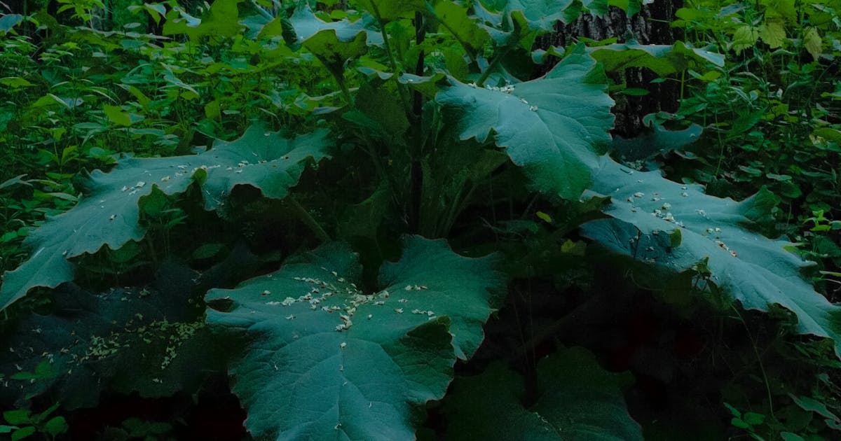 Ecommerce seller at a desk with multiple marketplace logos on screen and a checklist showing channel expansion steps