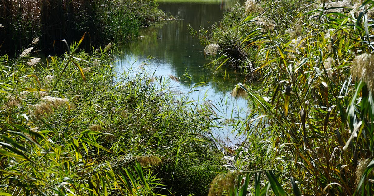 Should You Add Walmart Marketplace? The 5-Question Test That Gives You the Answer.