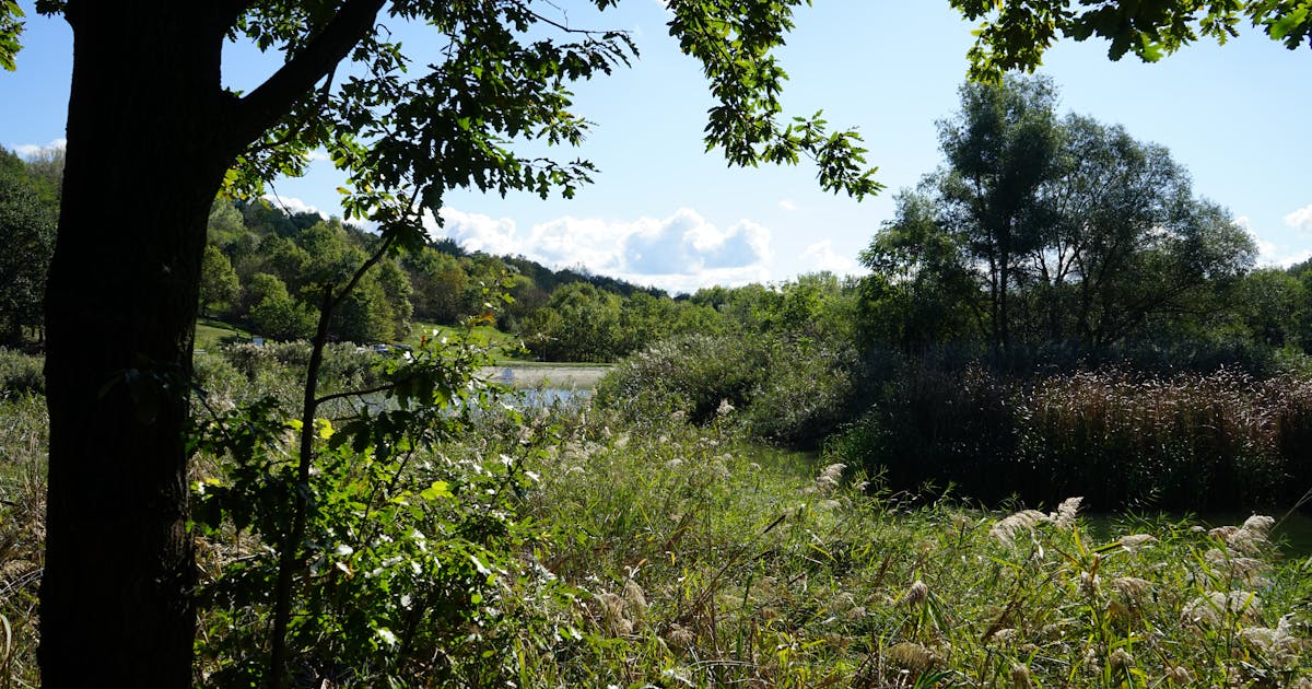 How to Know Exactly When to Reorder Stock (The Formula That Replaced Our Gut Feeling).